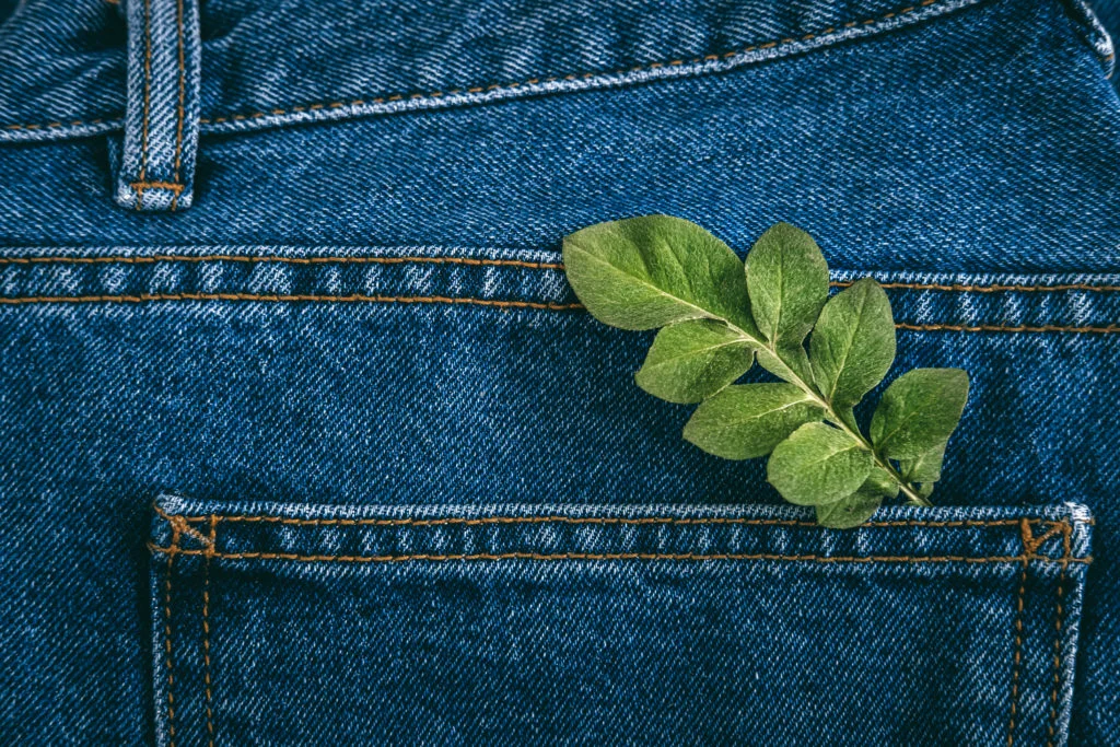 sustainable-fashion-circular-economy-denim-eco-friendly-clothing-green-leaf-plant-blue-denim-1024x683