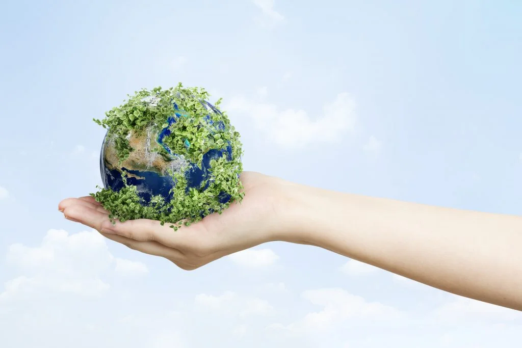sustainable-living-environmentalist-hand-holding-green-earth-1024x683