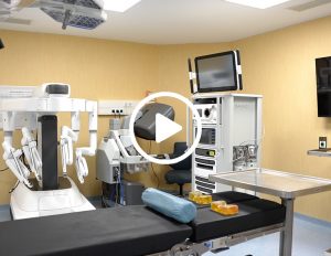 Plano de Recuperação e Resiliência - Recuperar Portugal