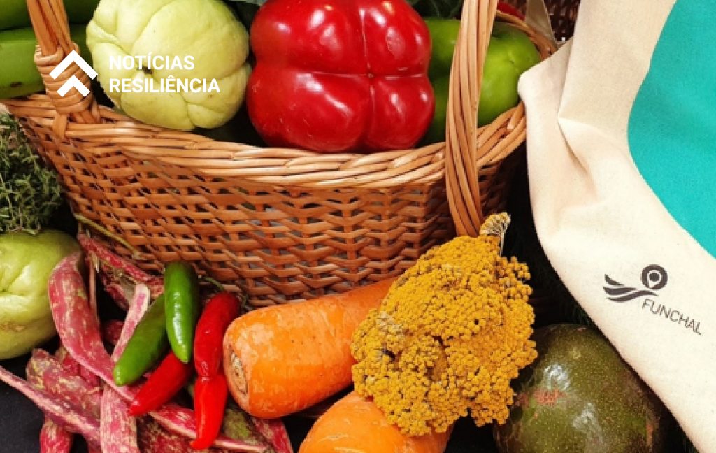 Plano de Recuperação e Resiliência - Recuperar Portugal