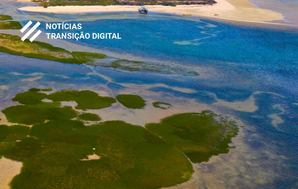 Plano de Recuperação e Resiliência - Recuperar Portugal