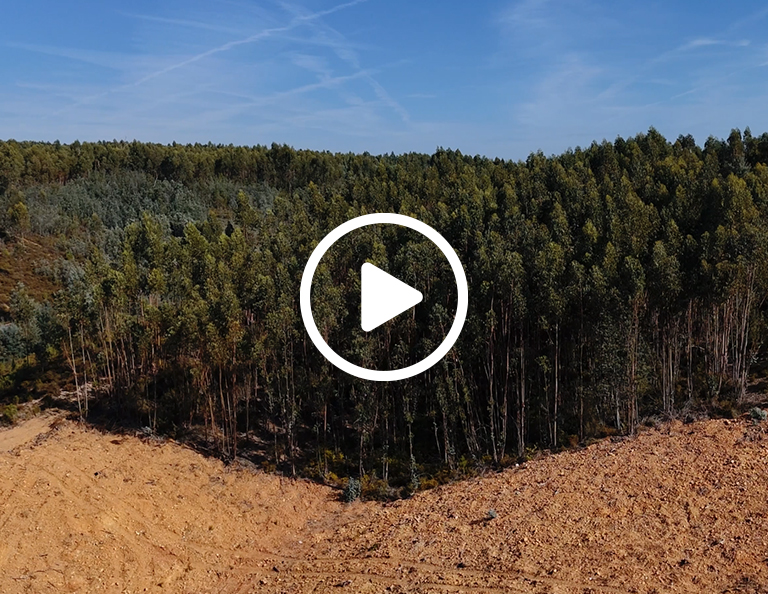 Plano de Recuperação e Resiliência - Recuperar Portugal