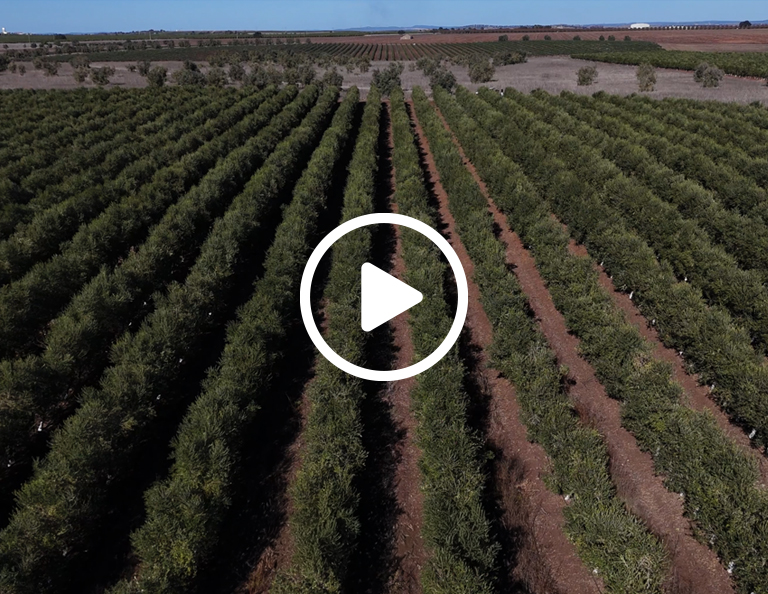 Plano de Recuperação e Resiliência - Recuperar Portugal