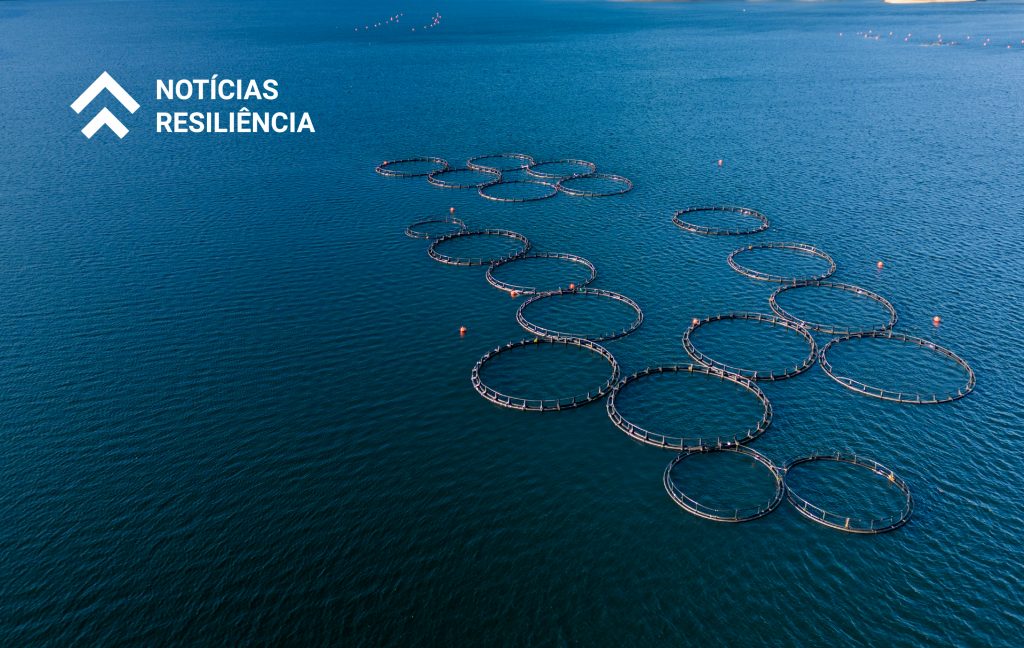 Plano de Recuperação e Resiliência - Recuperar Portugal