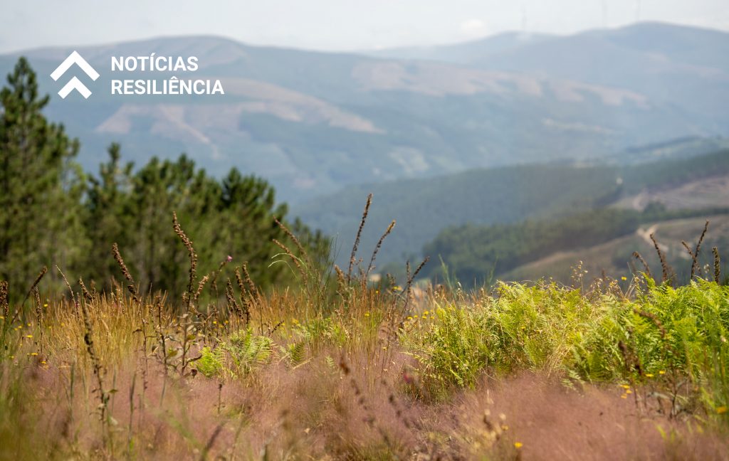 Plano de Recuperação e Resiliência - Recuperar Portugal