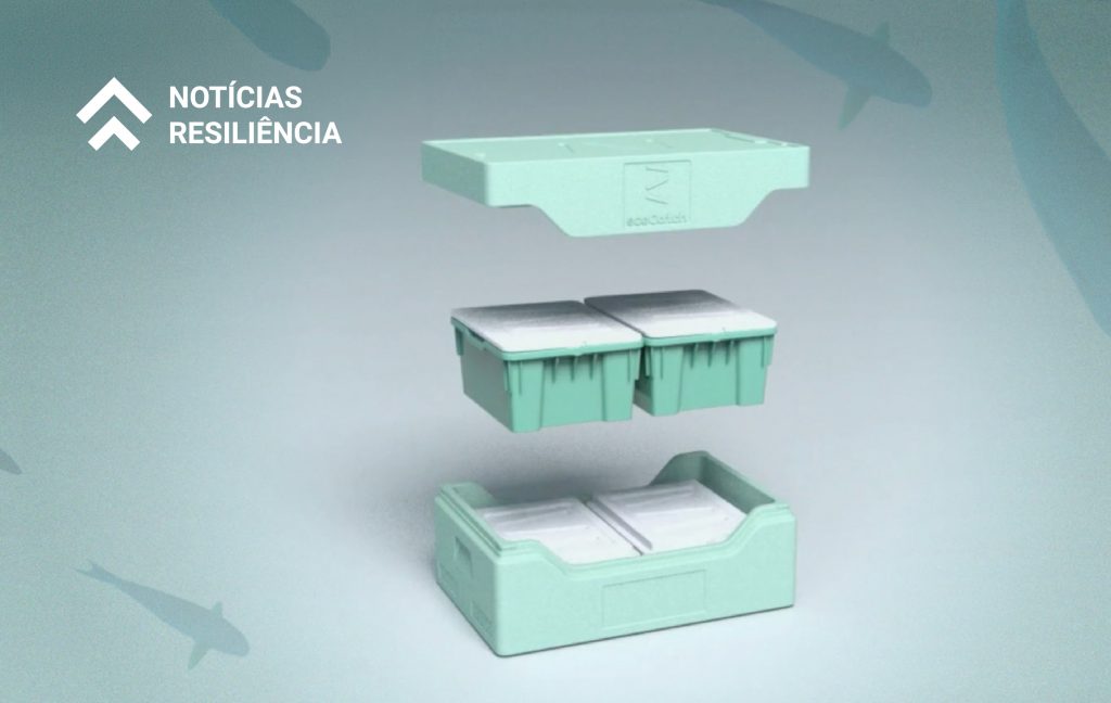 Plano de Recuperação e Resiliência - Recuperar Portugal