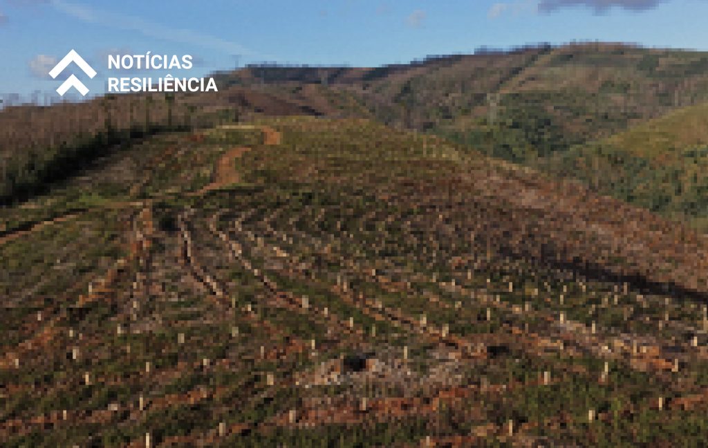 Plano de Recuperação e Resiliência - Recuperar Portugal
