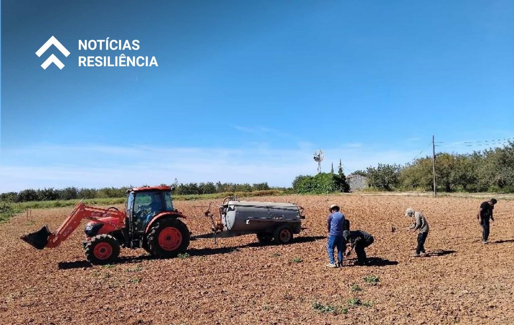 Plano de Recuperação e Resiliência - Recuperar Portugal