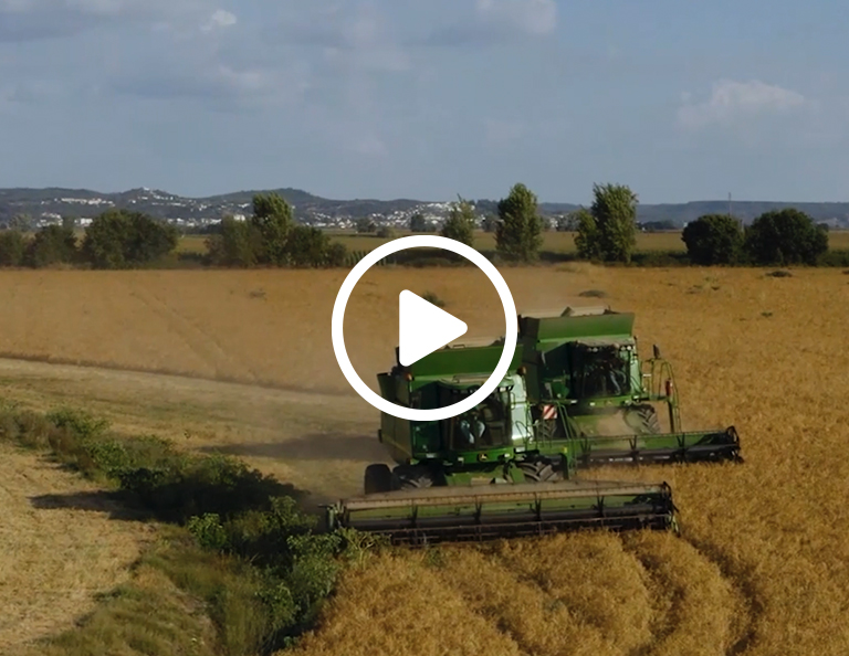 Plano de Recuperação e Resiliência - Recuperar Portugal