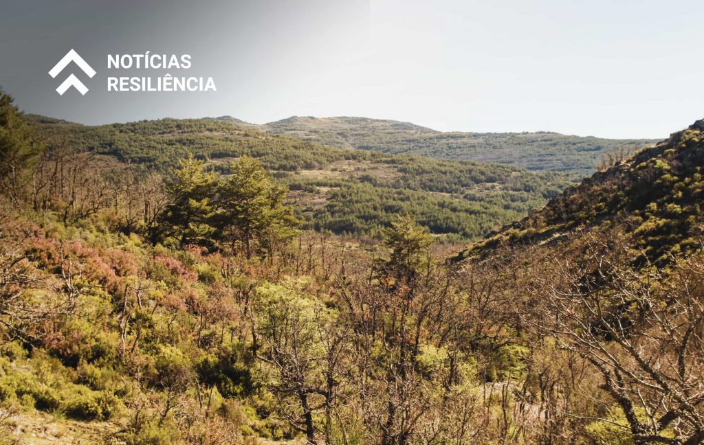 Plano de Recuperação e Resiliência - Recuperar Portugal