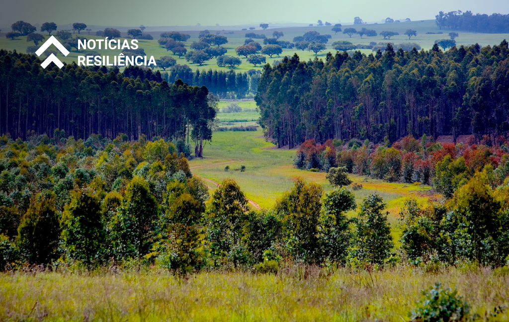 Plano de Recuperação e Resiliência - Recuperar Portugal